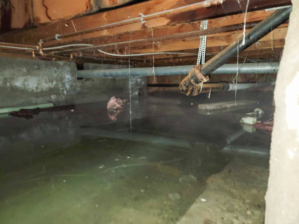 Best Sewage cleanup and water damage restoration  in Mcmurray, PA