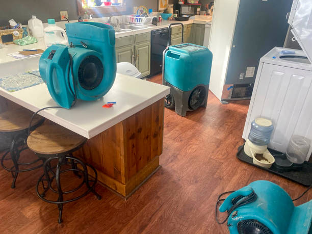 Trusted Mcmurray, PA Water damage restoration Experts