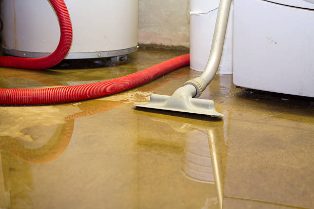 Best Water damage repair service  in Mcmurray, PA