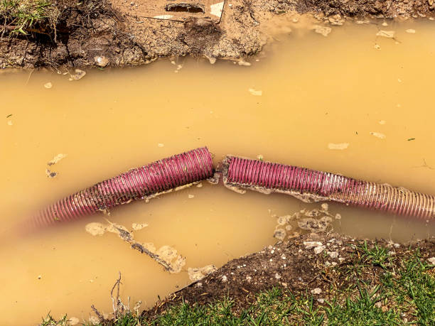 Best Mold removal after water damage  in Mcmurray, PA