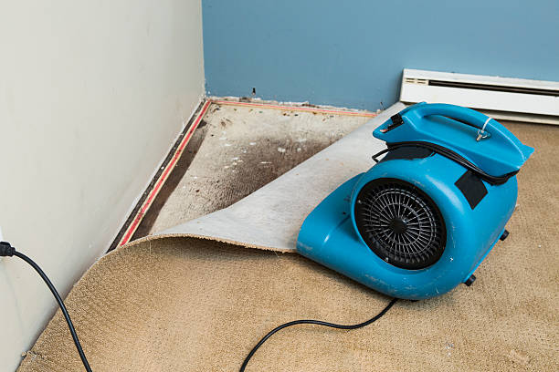 Best Water damage restoration near me  in Mcmurray, PA